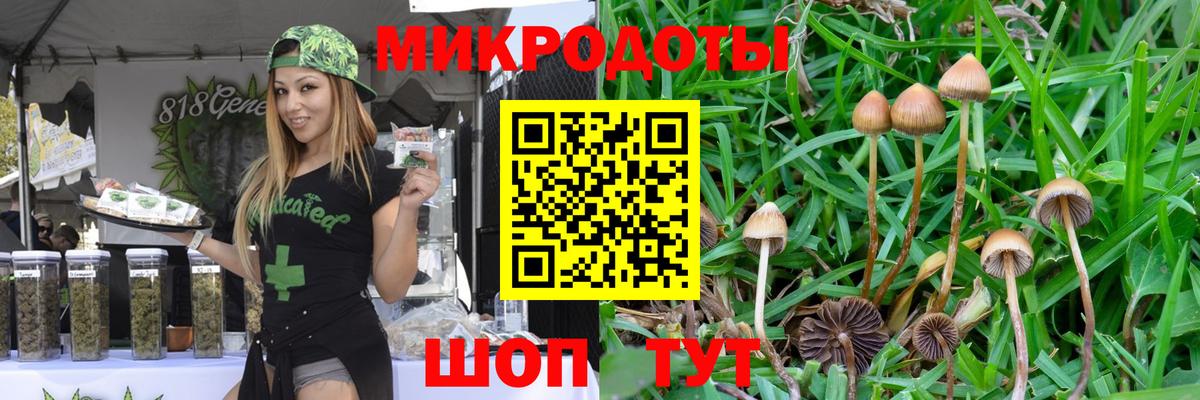 Галлюциногенные грибы MAGIC MUSHROOMS Тольятти
